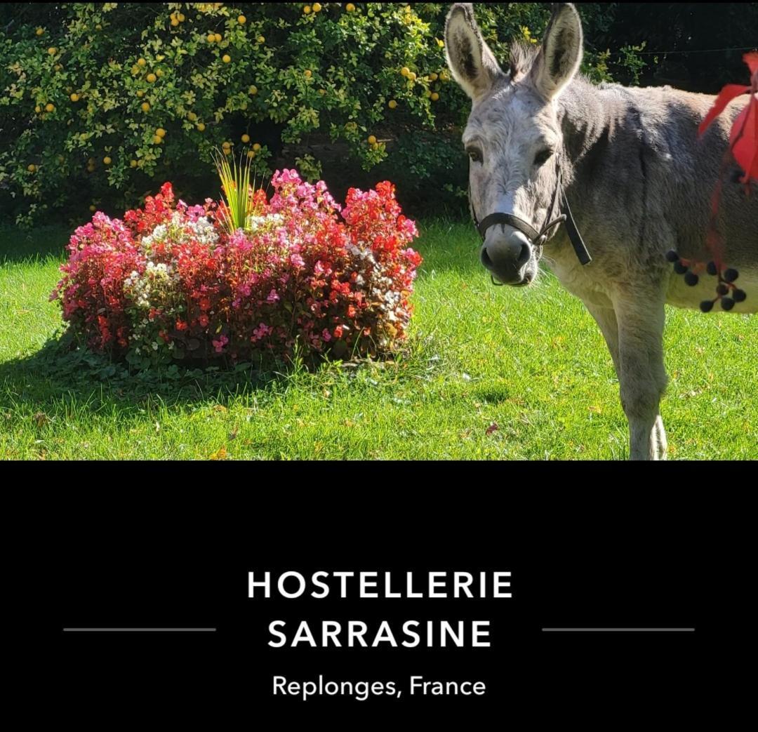 Hostellerie Sarrasine - Macon Est Replonges Buitenkant foto